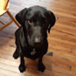 Meet your Posher, Crazycracker